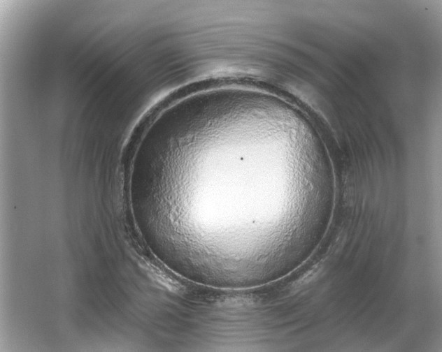 X0000063451021200601231346