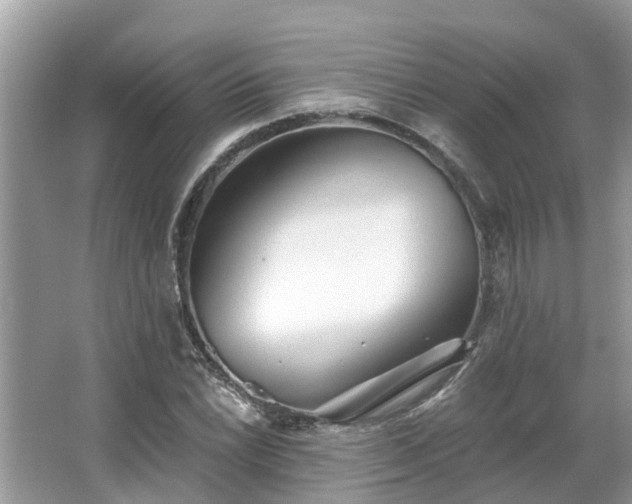 X0000063451022200601231346