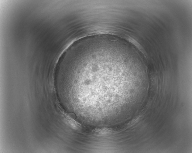 X0000063451023200601231346