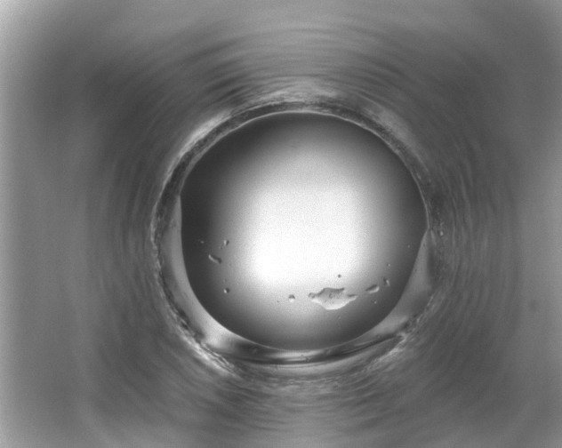 X0000063451026200601231346