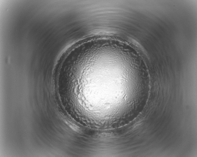 X0000063451027200601231346