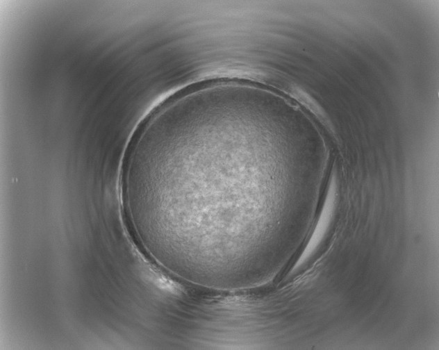 X0000063451028200601231346