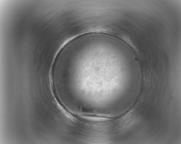 X0000063451032200601231346