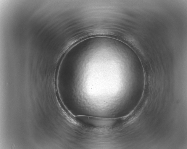 X0000063451033200601231346