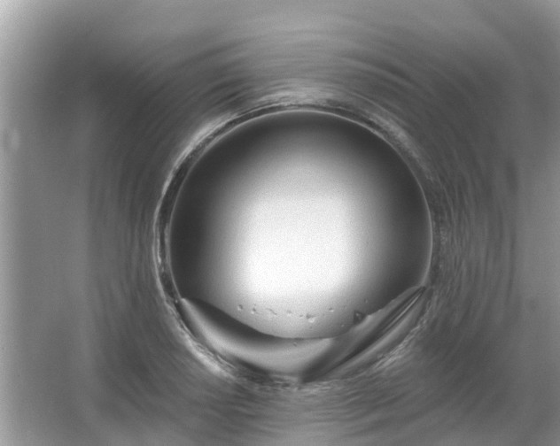 X0000063451034200601231346