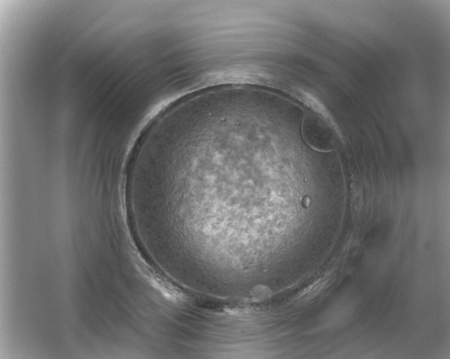 X0000063451035200601231346