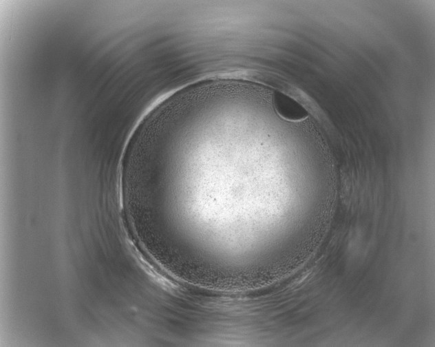 X0000063451036200601231346