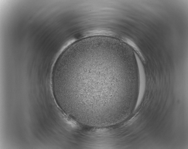 X0000063451043200601231347