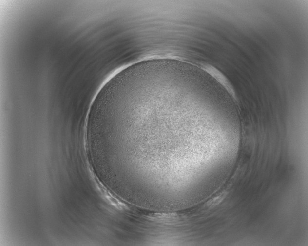 X0000063451052200601231347