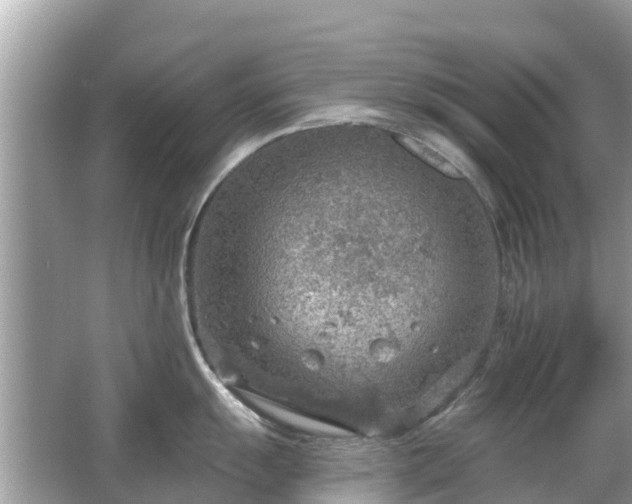 X0000063451055200601231347