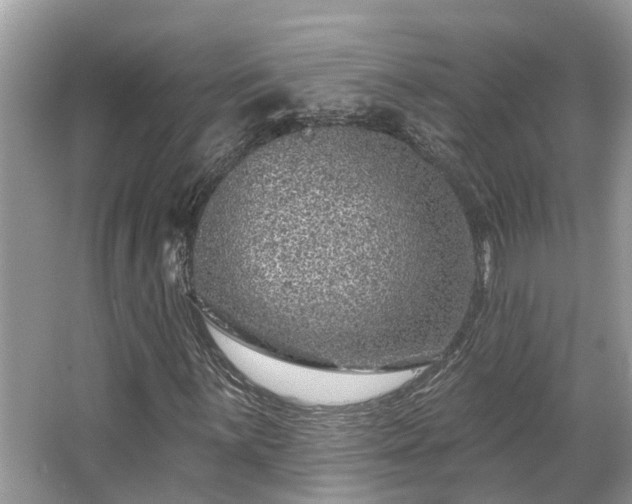 X0000063451059200601231346