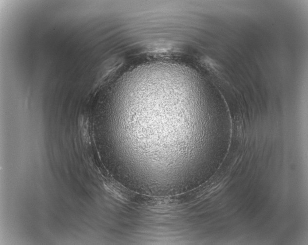 X0000063451060200601231346