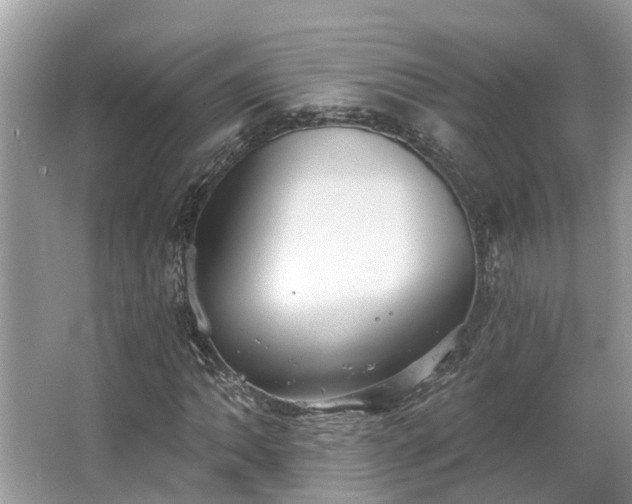 X0000063451062200601231346