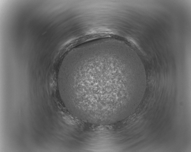 X0000063451063200601231346