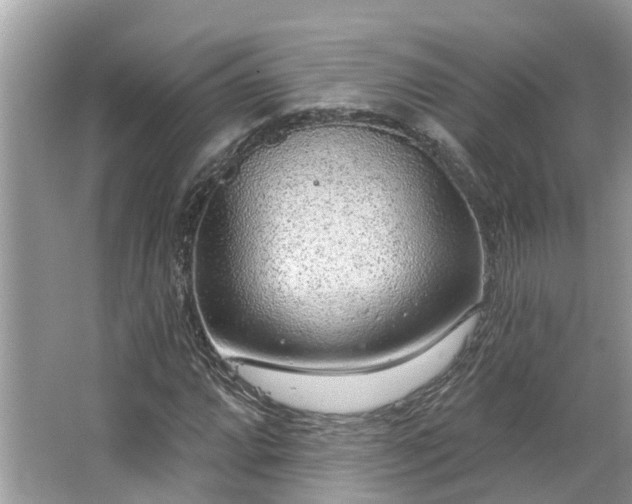 X0000063451064200601231346