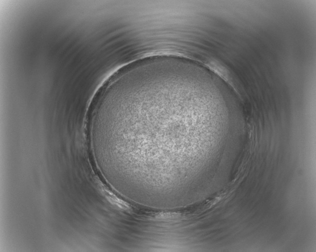 X0000063451068200601231346