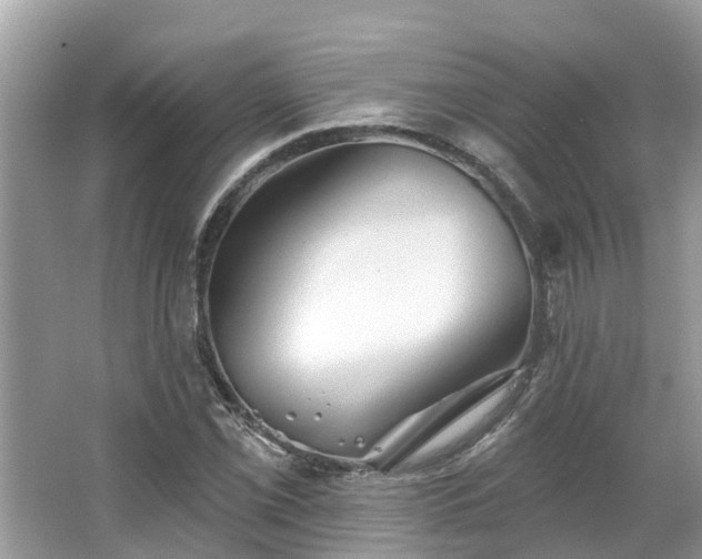 X0000063451069200601231346