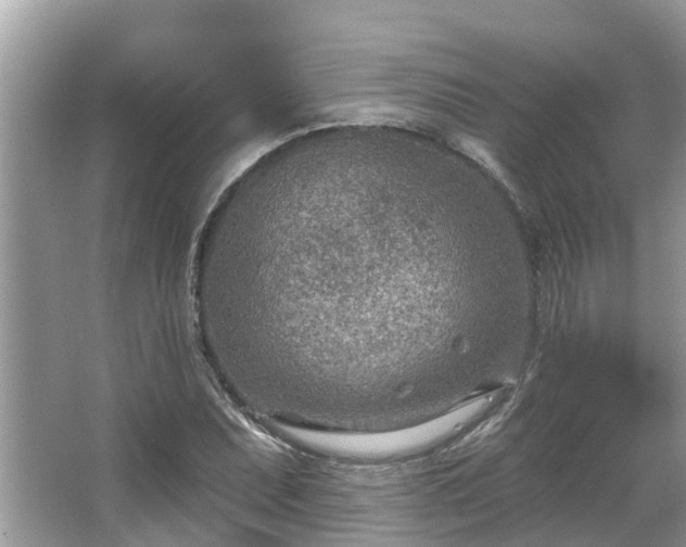 X0000063451071200601231346