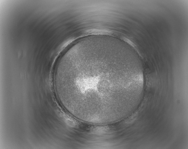 X0000063451074200601231346