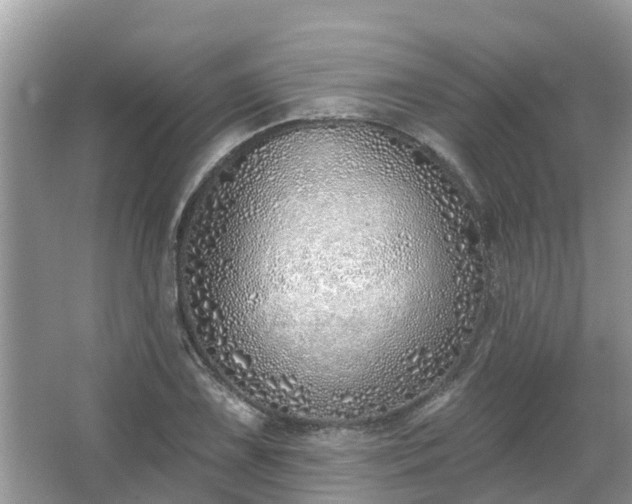 X0000063451075200601231346