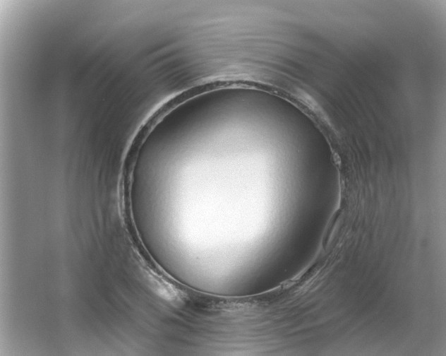 X0000063451076200601231346