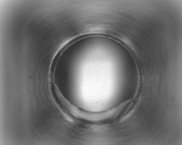 X0000063451077200601231346