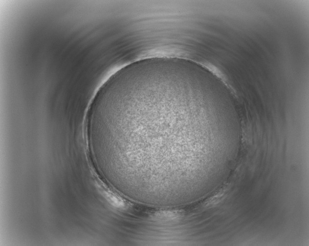 X0000063451078200601231346