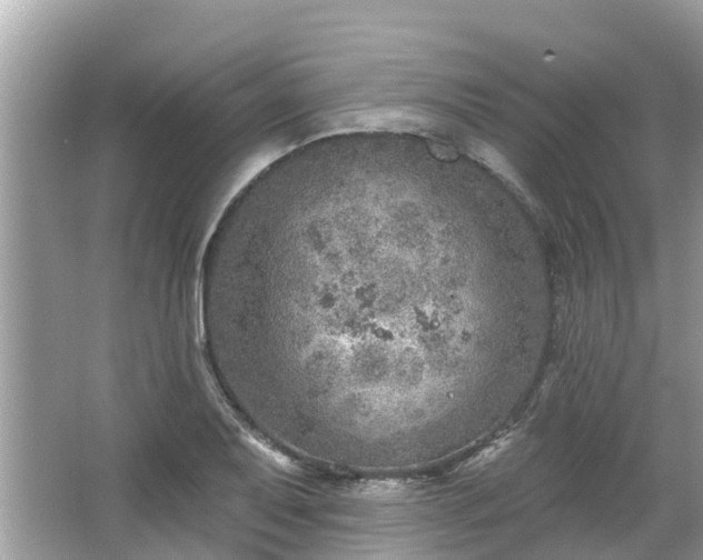 X0000063451079200601231346