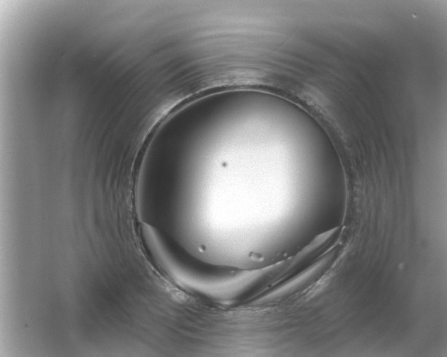 X0000063451081200601231346