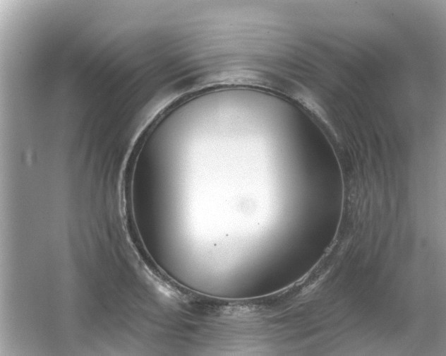 X0000063451082200601231346