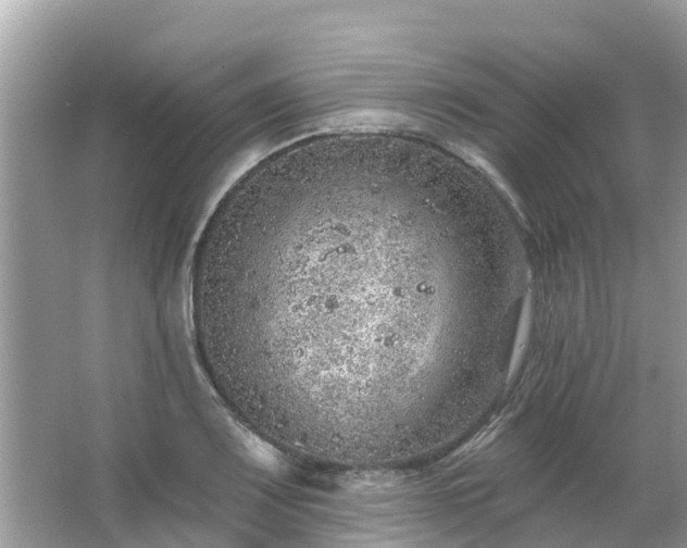 X0000063451083200601231346