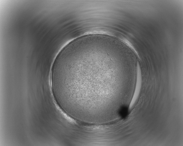 X0000063451084200601231346