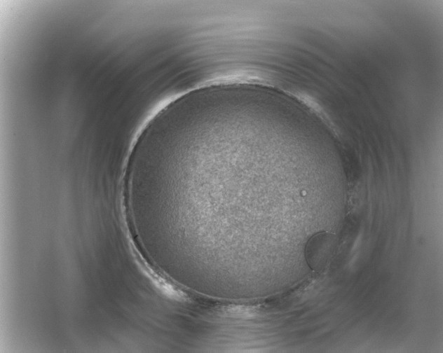 X0000063451086200601231346