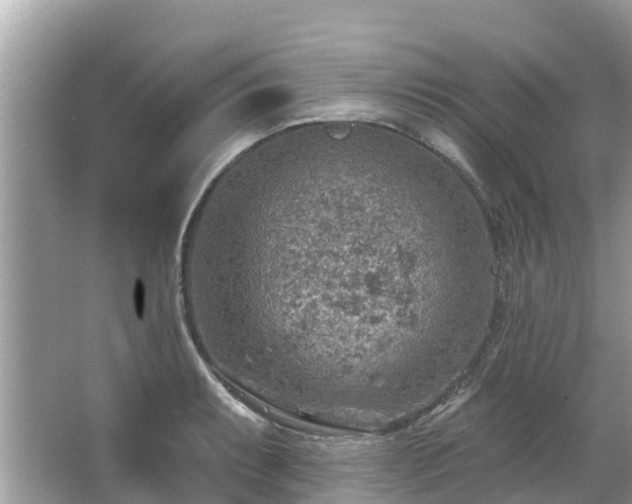 X0000063451087200601231346