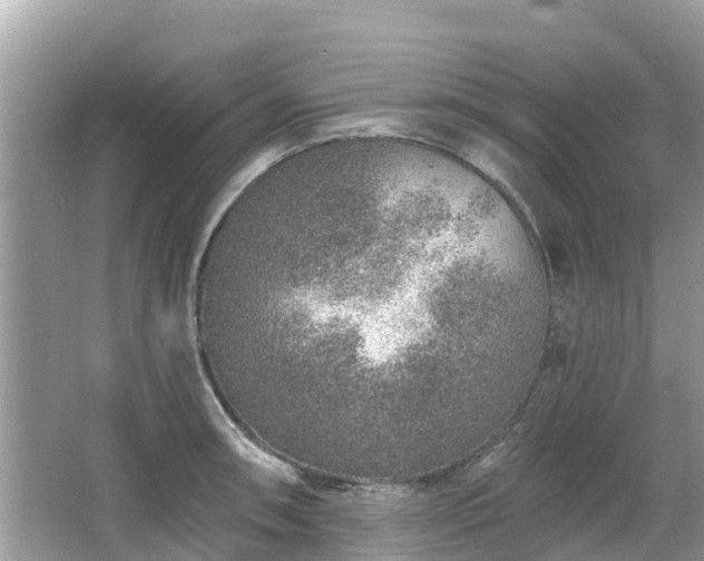 X0000063451090200601231345