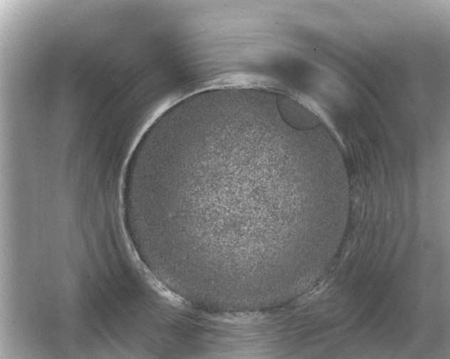 X0000063451091200601231345