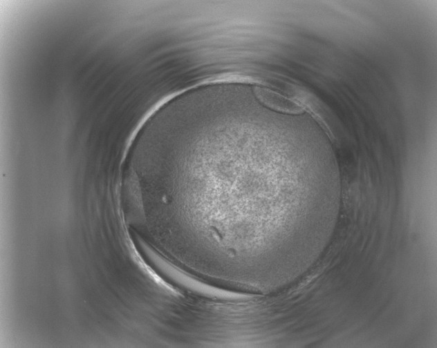 X0000063451092200601231345