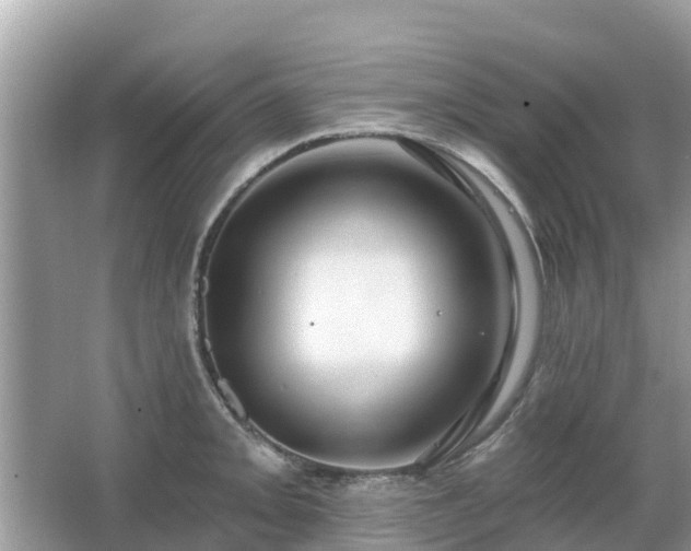 X0000063451093200601231345