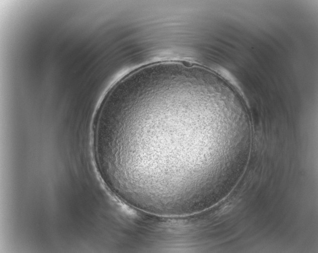 X0000063451096200601231345