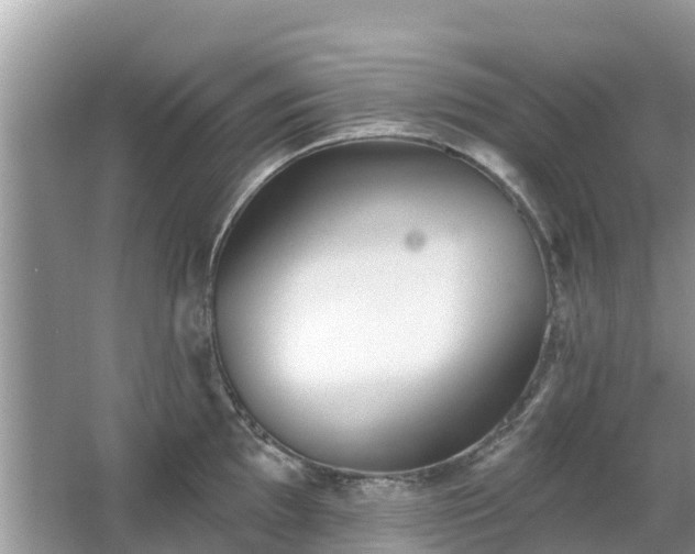 X0000063451097200601231345