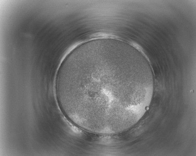 X0000063451098200601231345