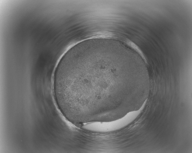 X0000063451099200601231345