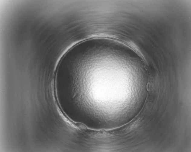 X0000063451100200601231345