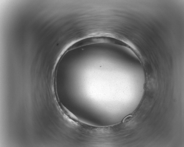 X0000063451102200601231345