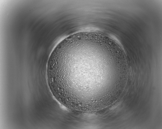 X0000063451103200601231345