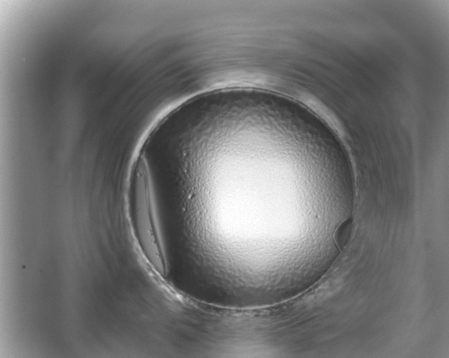 X0000063451104200601231345