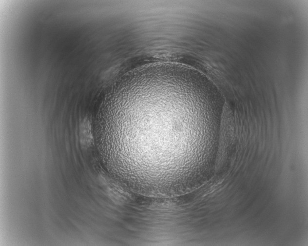 X0000063451106200601231344