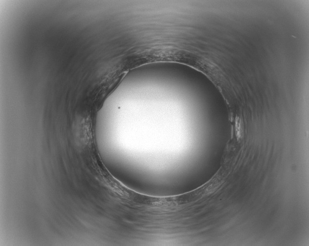 X0000063451107200601231344