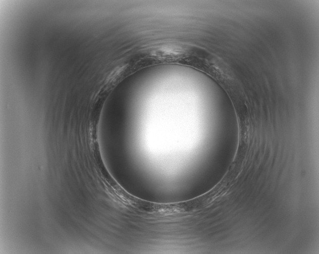 X0000063451108200601231344