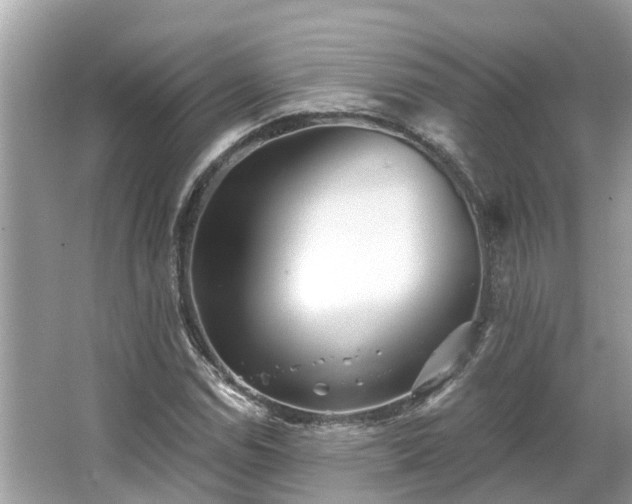 X0000063451114200601231345